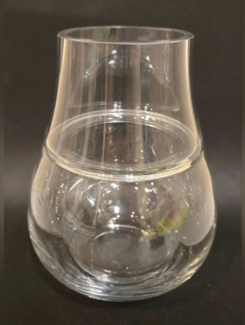 Clear Glass Bulb Vase